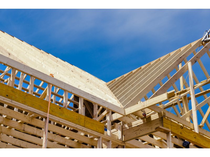 New timber roof framing prepared for roof replacement